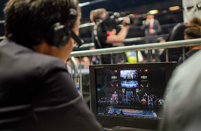 Vivid Broadcast - Case Study - New Japan Pro Wrestling